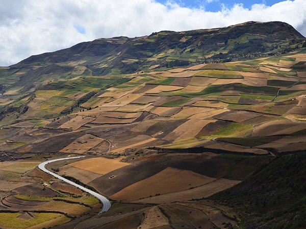 Trekking dan les  Andes